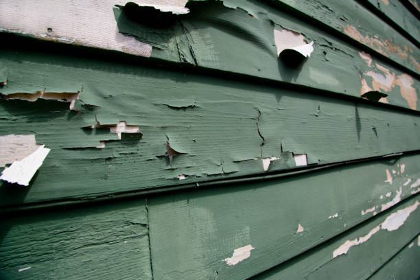 Best Recycling Services for Junk  in Metlatla, AK
